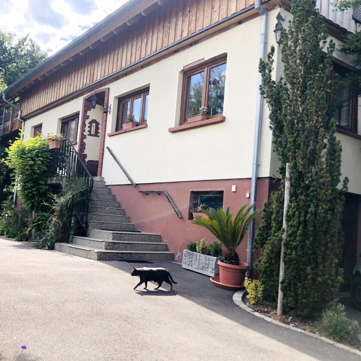 Gite Du Ried Бишвиллер Экстерьер фото