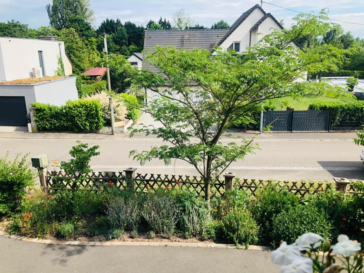 Gite Du Ried Бишвиллер Экстерьер фото