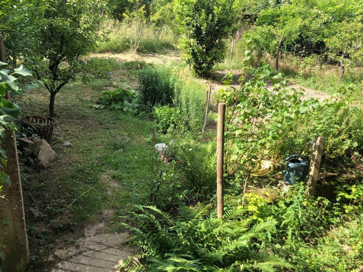 Gite Du Ried Бишвиллер Экстерьер фото